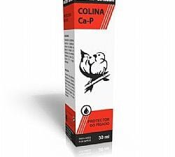 AVIZOON Colina Ca-P 30ml