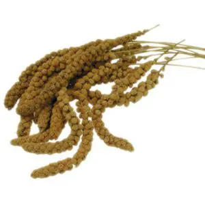 ΚΛΩΝΑΡΙ millet (χύμα) 100gr