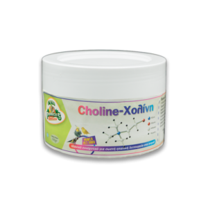 EVIA PARROTS CHOLINE - ΧΟΛΙΝΗ 100gr