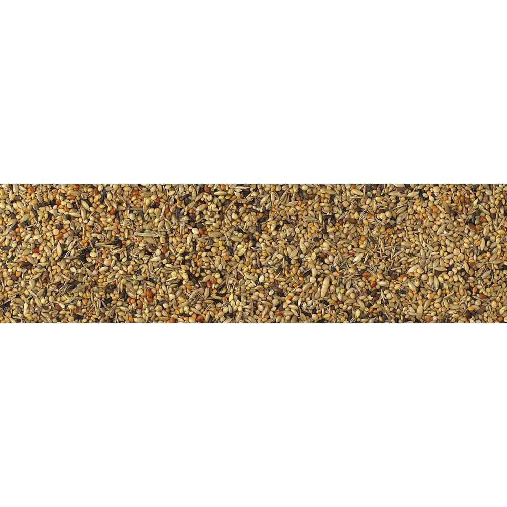 King-Tropical-Finches-Breeding-luxury-20kg