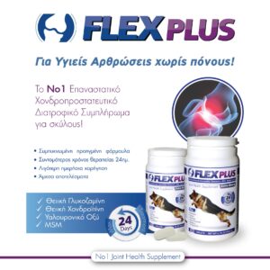 FLEX-PLUS-30-TABS