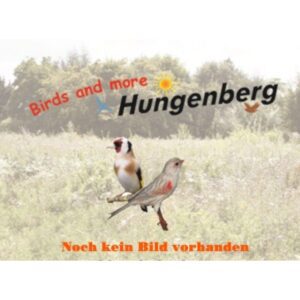 Hungenberg - Knoblauchsaft - Χυμός σκόρδου - 500ml