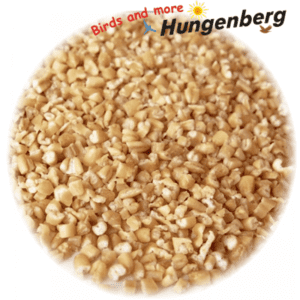 Hungenberg - Σπασμένη Βρώμη - 1kg