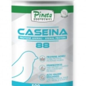 PINETA-Πρωτεϊνη CASEINA 88%, 500gr