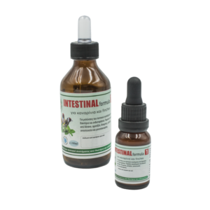 EVIA PARROTS INTESTINAL formula1 100ml