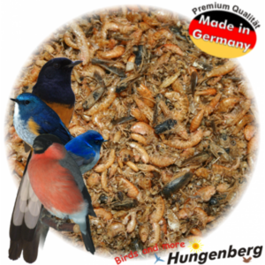 Hungenberg - Insect Mix - 1kg