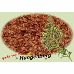 Hungenberg - Zypressensamen - Σπόρος Κυπαρισσιού - 1kg