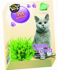 Lolo χόρτο γάτας σε σπόρους έτοιμους για βλάστηση 100gr (3 τεμάχια)