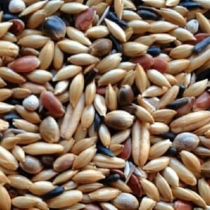 HOEBREGTS-Canary Mix SUPREME perilla 20kg