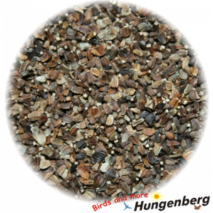 Hungenberg - Chrysanthemensamen - Σπόρος Χρυσάνθεμου - 500γρ