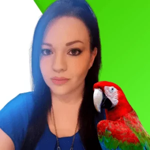 kanarinokosmos-gr-elena-macau-parrot-1.png