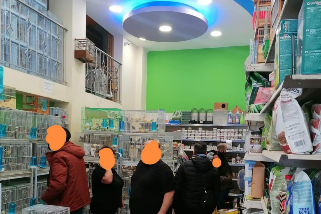 Σελίδα – Αγόρασε προϊόντα online στο Pet Καναρινόκοσμος