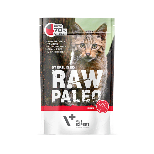 Raw Paleo Cat wet Sterilised Beef 100gr (4 Τεμάχια)
