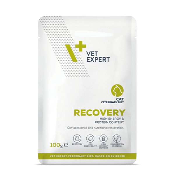 Vet Expert Recovery Cat 100gr (4 Τεμάχια)