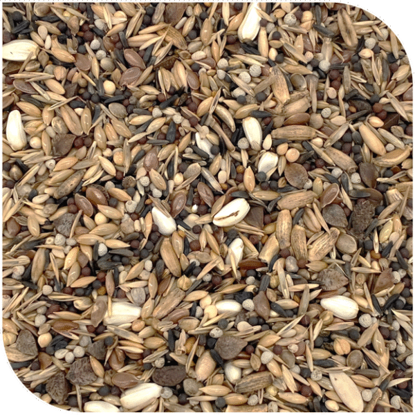 BLATTNER-Breeding Mix for BULLFINCH 5kg
