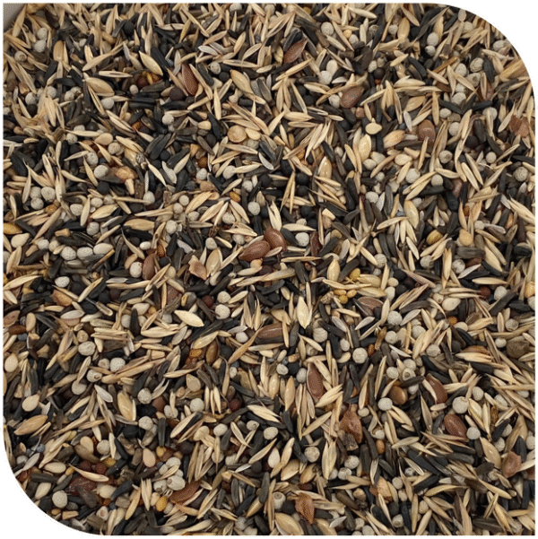 BLATTNER-Breeding Mix for SISKIN (II) 5kg