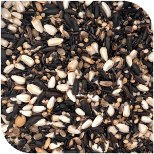 BLATTNER Germination Mix CARDUELIS Major 2.5kg
