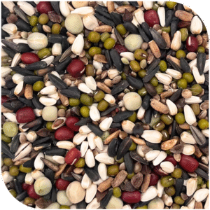 BLATTNER-Germination Mix for BULLFINCH 5kg