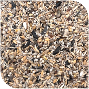 BLATTNER-Goldfinch Major BIANCO no niger 15kg