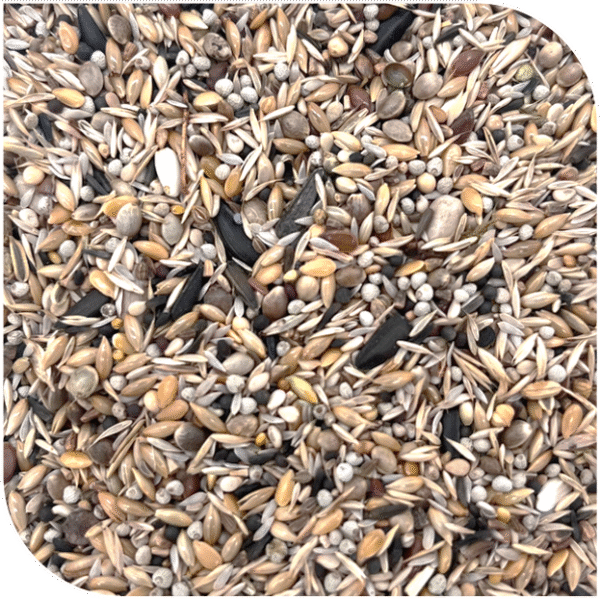 BLATTNER-Goldfinch Major BIANCO no niger 5kg