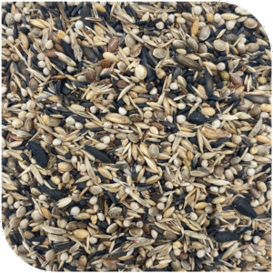 BLATTNER-Goldfinch Major ITALIA 15kg