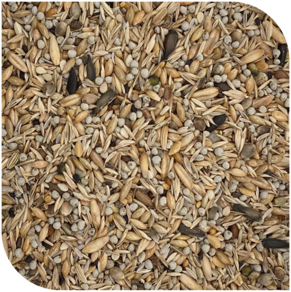 BLATTNER-Goldfinch Minor MEDITERRANEO no niger (Χύμα) 1kg