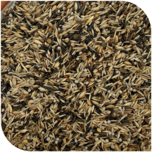 BLATTNER-Mix for SISKINS & SPINUS (IA) 5kg