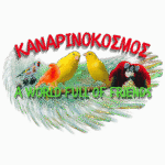 Καλώς ορίσατε στο Pet Καναρινόσμος στον κόσμο των Καναρινιών. Εξειδικευμένο Pet Shop για Όλα τα Πτηνά όπως Καναρίνια, Παπαγάλους, Εξωτικά, Ιθαγενή και Εντομοφάγα. Στο Κατάστημα μας θα Βρείτε Ποιοτικά Προϊόντα, Τροφές, Μείγματα, Αξεσουάρ, Προσφορές και Δωροεπιταγές, για όλα τα Αγαπημένα σας Κατοικίδια !