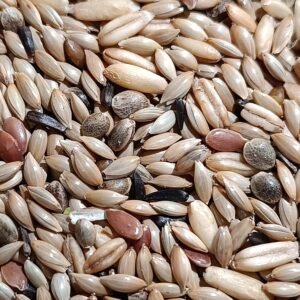 Άρθρο – Αγόρασε προϊόντα online στο Pet Καναρινόκοσμος GREEN & BLUE Canary mix LIPO BREEDER (χωρίς ρούπσεν) 20kg