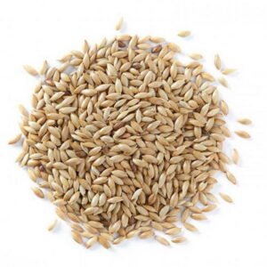BIRD SUPREME Excellent CANARY Seed 20kg